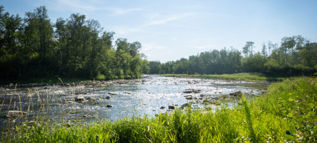 Saskatchewans Insidertipps: Erlebt den kanadischen Sommer!