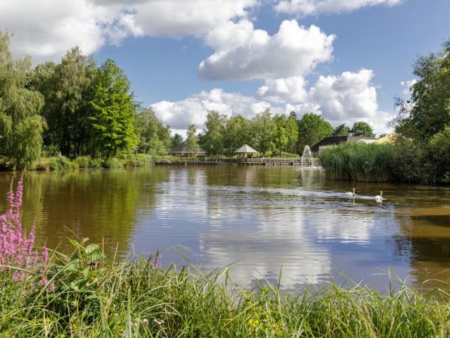 Niederlande Ferienahaus