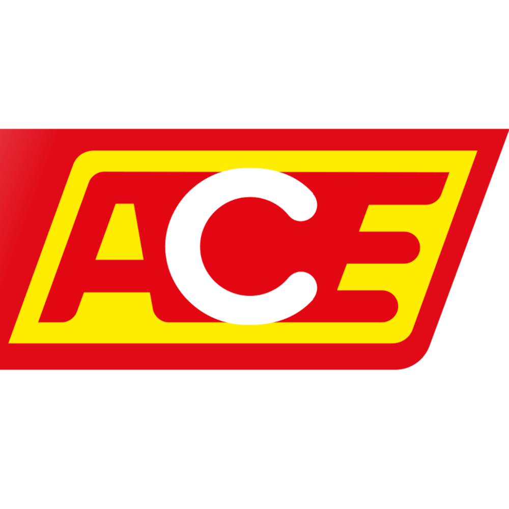 ACE Auto Club Europa Gutschein oucher Logo 2024