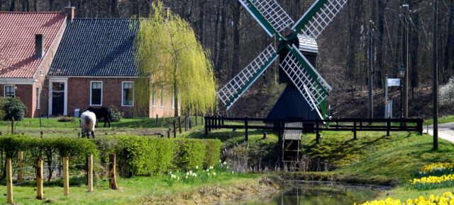 Holland mit Kindern: Die 5 besten Aktivitäten für Familien in „Das andere Holland“