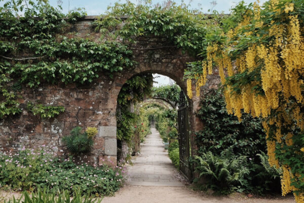 Jersey Botanic Garden