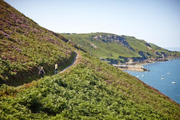 Jersey Wandern Landschaft