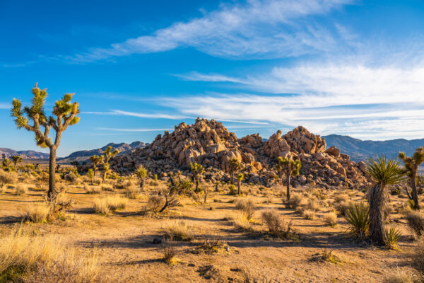 USA Kalifornien Joshua Tree Nationalpark