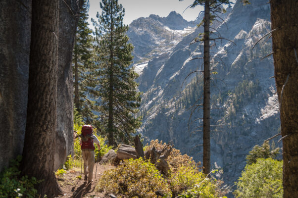 USA Kalifornien Sequoia Nationalpark