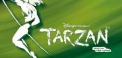 Dschungelfieber: Tickets für Disneys Musical TARZAN in Stuttgart inkl. Hotelübernachtung NUR ...