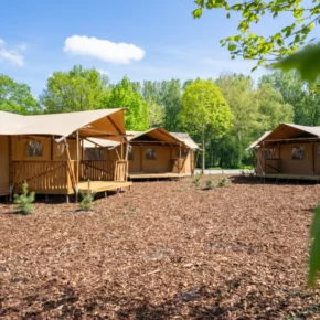 Niederlande Ferienpark EuroParcs Het Amsterdamse Bos