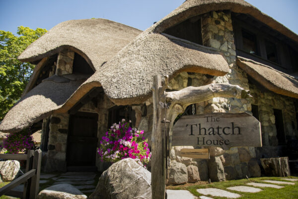 Michigan Mushroom Houses